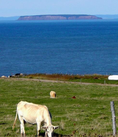 View northwest from Harbourville, across the Bay of Fundy