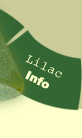 Lilac Info