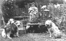 Image of Emily Carr with sheep dogs