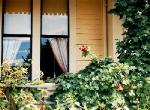 Image-Garden Window