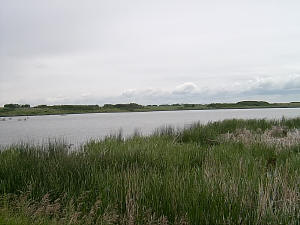 View Of Ekapo Lake
