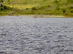 View Of Small Lake From Beaver Dam
