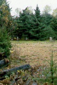 Ruins of Goldenburg Church