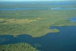Birds eye view of the Boreal Forest region