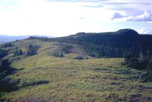 Highlands Landscape