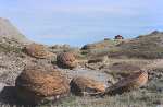 Sandstone Concretions