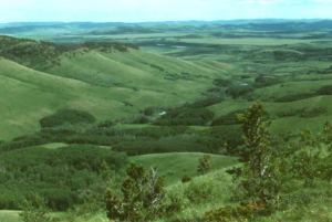 Foothills Natural Region