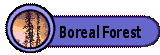 The Boreal Forest Region