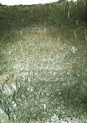 Humic Gleysoilic Soil