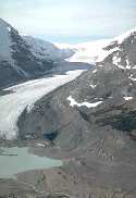 Glaciers within the Alpine Subregion