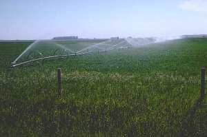 Crop Irrigation