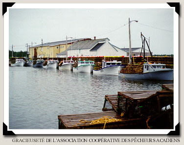 L'Association coopérative des pêcheurs acadiens ltée
