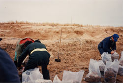 Photographie prise lors de la récupération des sacs de mazout enterrés dans les dunes.
