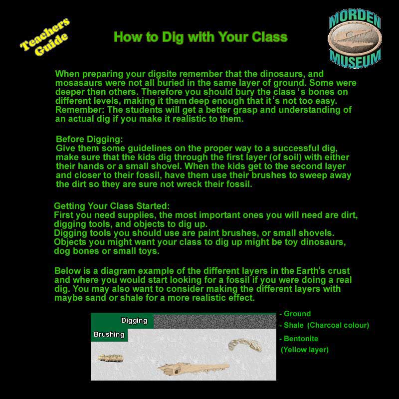 How to Dig with Your Class