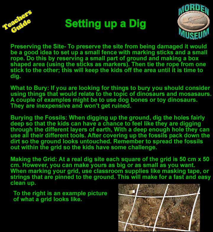 Setting up a Dig