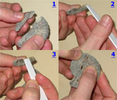 Gluing fossil pieces together