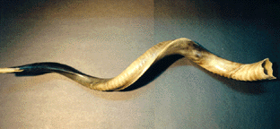 Shofar