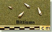 Bittiums