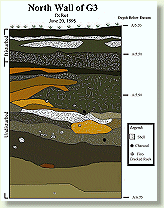 G-3 Soil Profile