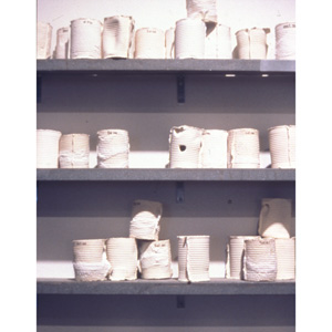 Hanson: "...she ought to have wondered at this, but at the time it all seemed quite natural." (Detail of shelves and cans)