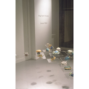 Chuang: "Recent Work: Seed-Creatures" - Installation View