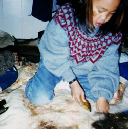 Student Scraping Caribou Hide