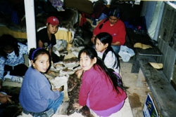 Students Scraping Caribou Hide