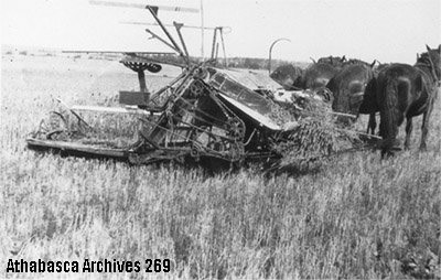 Harvesting near Colinton