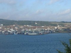 View of Harbour Grace