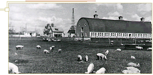 Pig Farm, 1938
