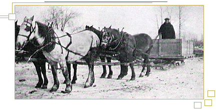 Anatole Mercier with his freighting and sleigh, 1925