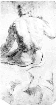 8 Jordaens STUDIES OF MALE NUDE Black and white chalks, 530 x 295 mm., 20 7/8 x 11 5/8 in. Hessisches Landesmuseum, Darmstadt (HZ4669)