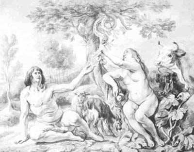 15 Jordaens THE FALL OF MAN Pen and ink, chalk and wash, 396 x 496 mm., 15 17/32 x 19 17/32 in. Hessisches Landesmuseum, Darmstadt (Hz 921)