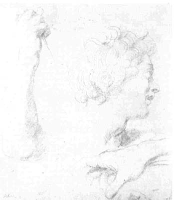 10 Peter Paul Rubens, Flemish, 1577-1640 Study of a Man's Head in Profile, of a Right Arm and of a Right Hand Black chalk on buff paper, heightened with white 12 3/8 x 10 7/8, 31.5 x 27.6 cm. No. 6159