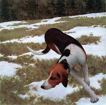 Cover Alex Colville, Canadian, b. 1920 Hound in Field (detail). 1958 Casein tempera, 30 x 40 The National Gallery of Canada (7163)