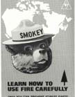 Smokey Picture 7