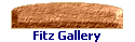 Fitz Gallery