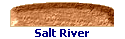 Salt River