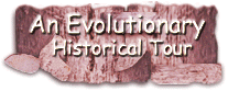 An Evolutionary Historical Tour