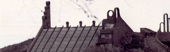 Roofline of Cardinal Stony Plains residence/studio, courtesy NeWest Press