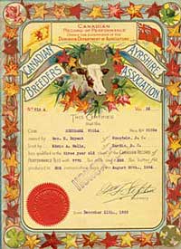 Certificate from the Canadian Ayrshire Breeders' Association for Edenbank Viola, 1924. AM 105 Location C525