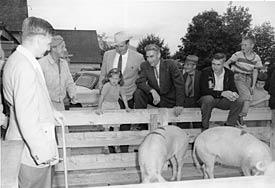Kenneth Keirnan, in dark suit leaning on rail, with group around swine judging pen at the Chilliwack Fair. Chilliwack Progress Photo.