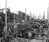 Group portrait of early hop-pickers. P5759.