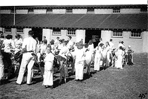 Local 4H club showing their Ayrshire cows at the Chilliwack Exhibition, ca. 1940s. AM 105.