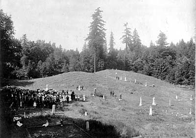 Overhead view of the early Shannon / Little Mountain cemetery. P1012.