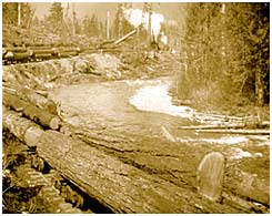 Logging train of the Vedder Logging Company, with the Chilliwack River on right, ca. 1935. 1996 5 3.