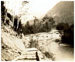 Temporary cribbing replaces road wiped out by spring runoff of the Chilliwack River, ca. 1932. P7183.