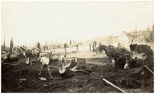 Group of men clearing site for the Columbia Valley School. P7946.