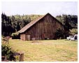 The Minnick barn in the Columbia Valley was one of four cedar plank barns built in the early 1900s by local residents. Ron Denman photo, 1999.