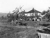 Early view of the McSween home on Fairfield Island which was built in 1894, and bought by James Grieve in 1908. P1231.